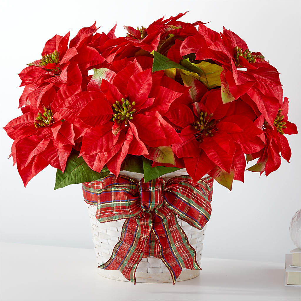 Happiest Holidays Poinsettia – FRIEND'S FLOWERS, Los Angeles CA