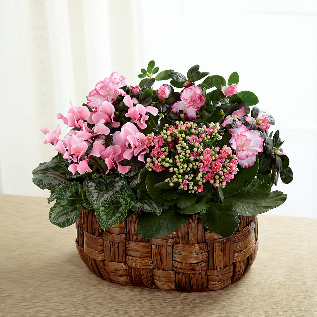 Pink Assortment – FRIEND'S FLOWERS, Los Angeles CA