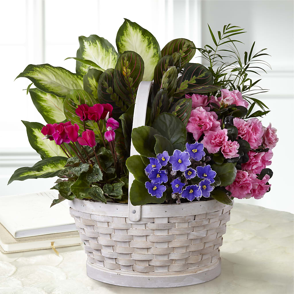 Peaceful Garden Planter – FRIEND'S FLOWERS, Los Angeles CA