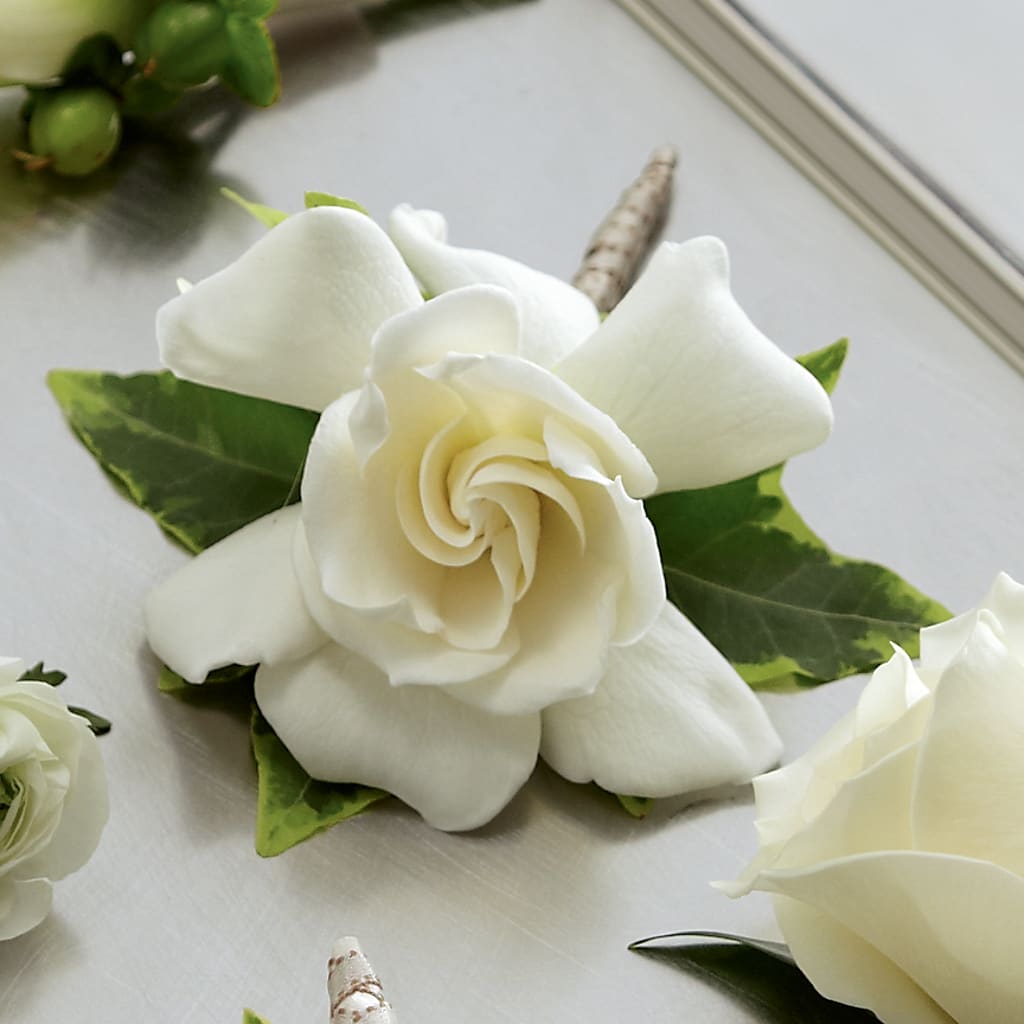 Gardenia Boutonniere – FRIEND'S FLOWERS, Los Angeles CA