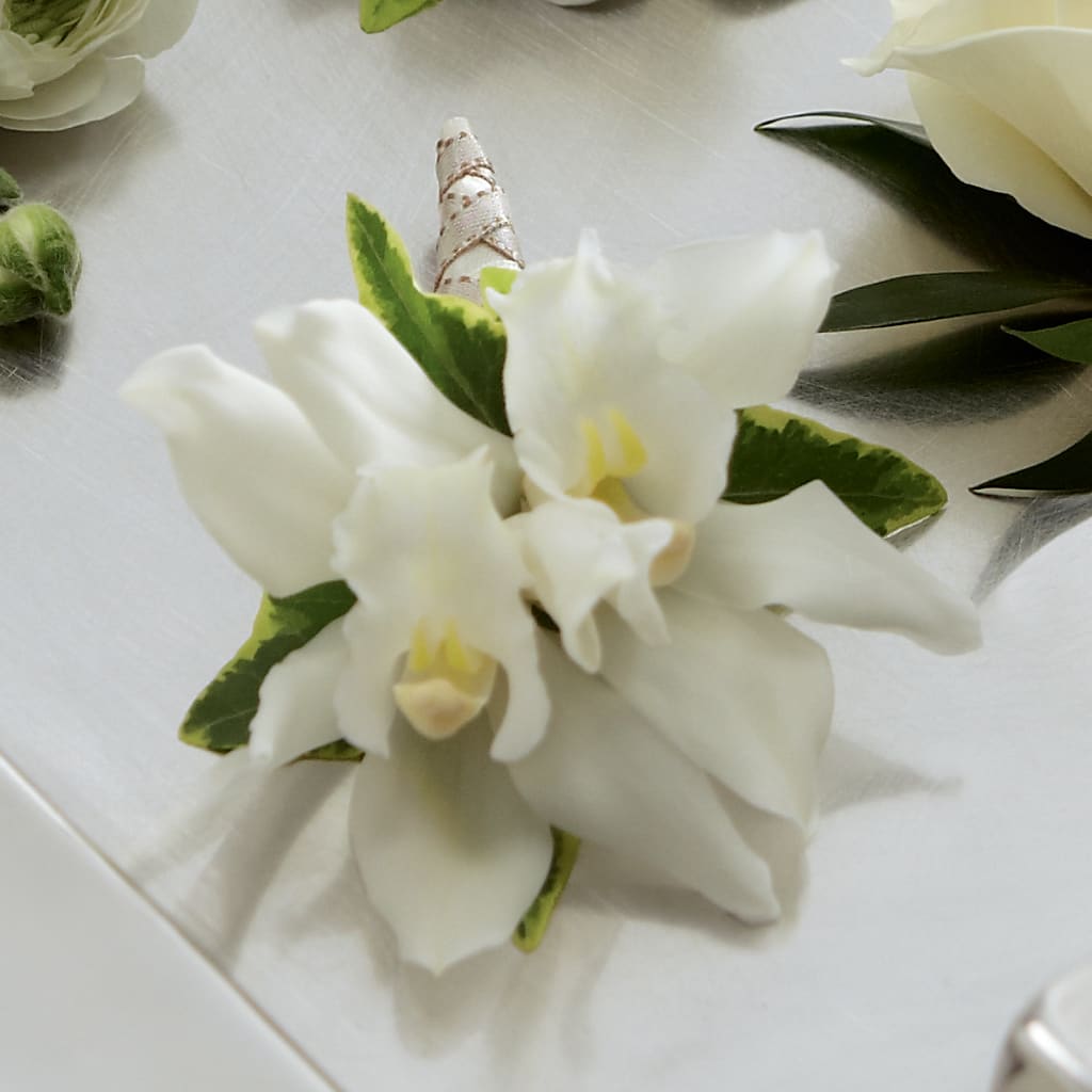 White Mini Cymbidium Boutonniere – FRIEND'S FLOWERS, Los Angeles CA