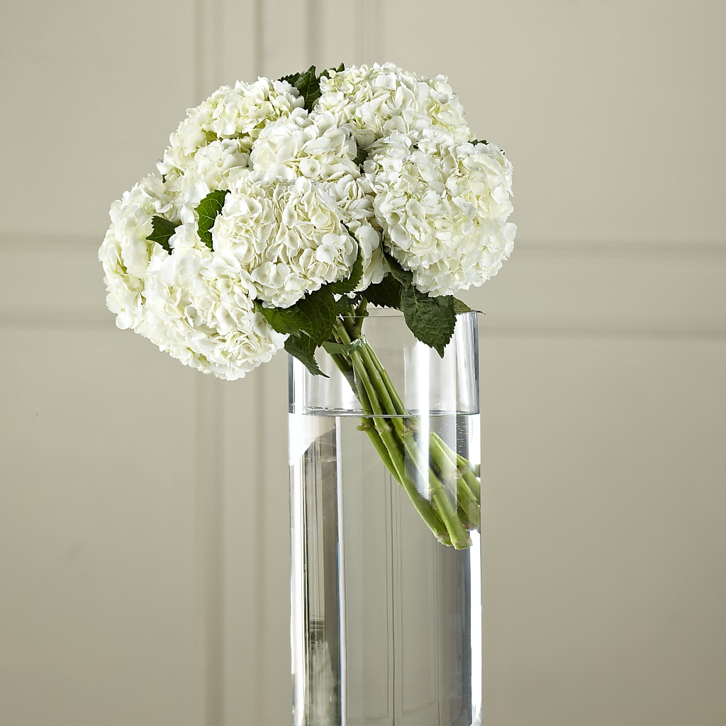 White Hydrangea Hand-Tied Bouquet – FRIEND'S FLOWERS, Los Angeles CA