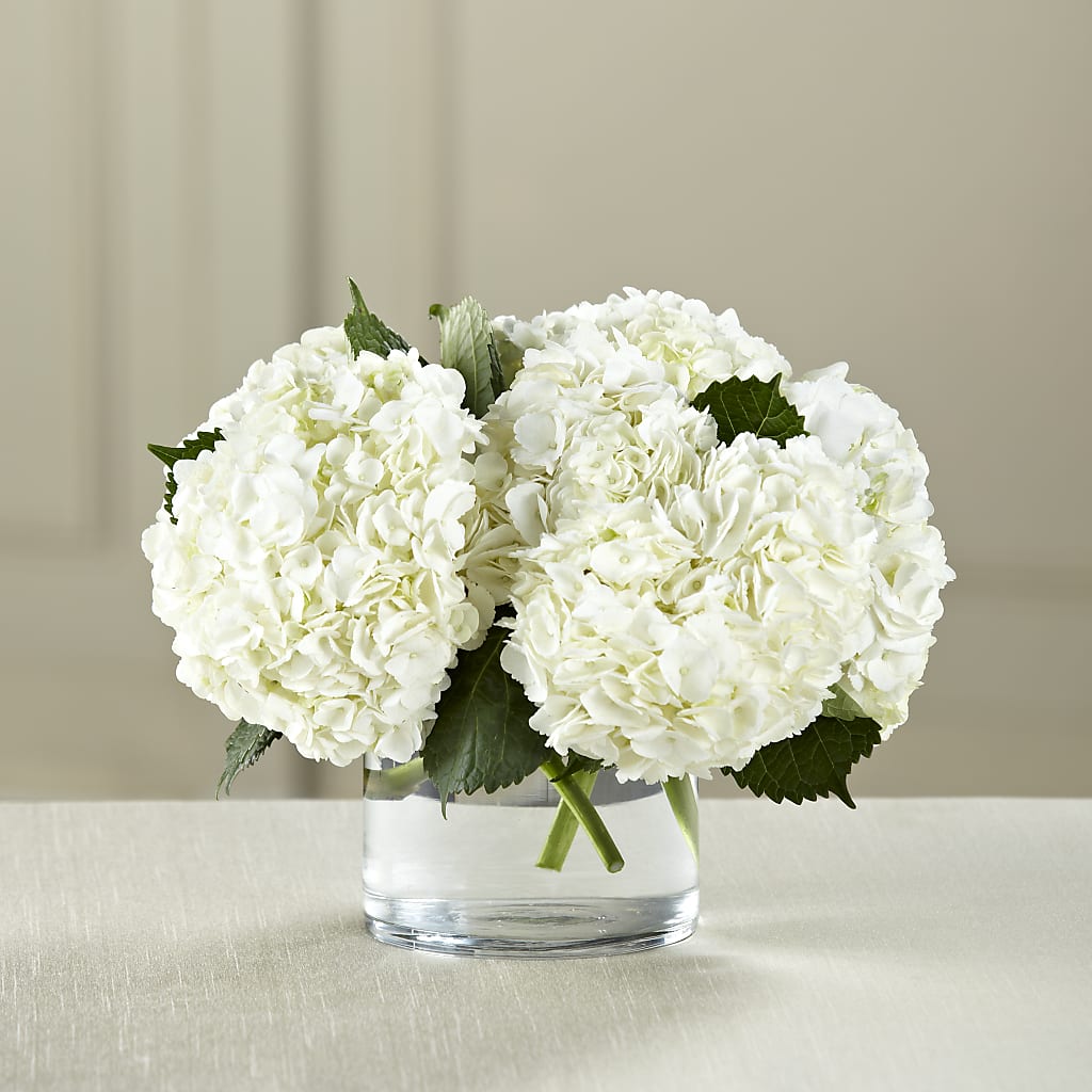 White Hydrangea Bouquet – FRIEND'S FLOWERS, Los Angeles CA