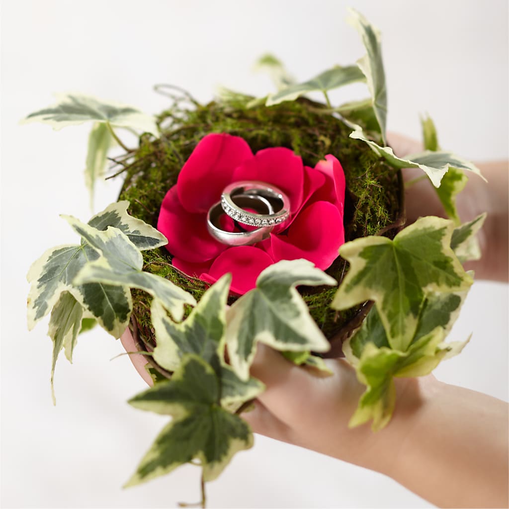 Lila Rose Ring Nest – FRIEND'S FLOWERS, Los Angeles CA