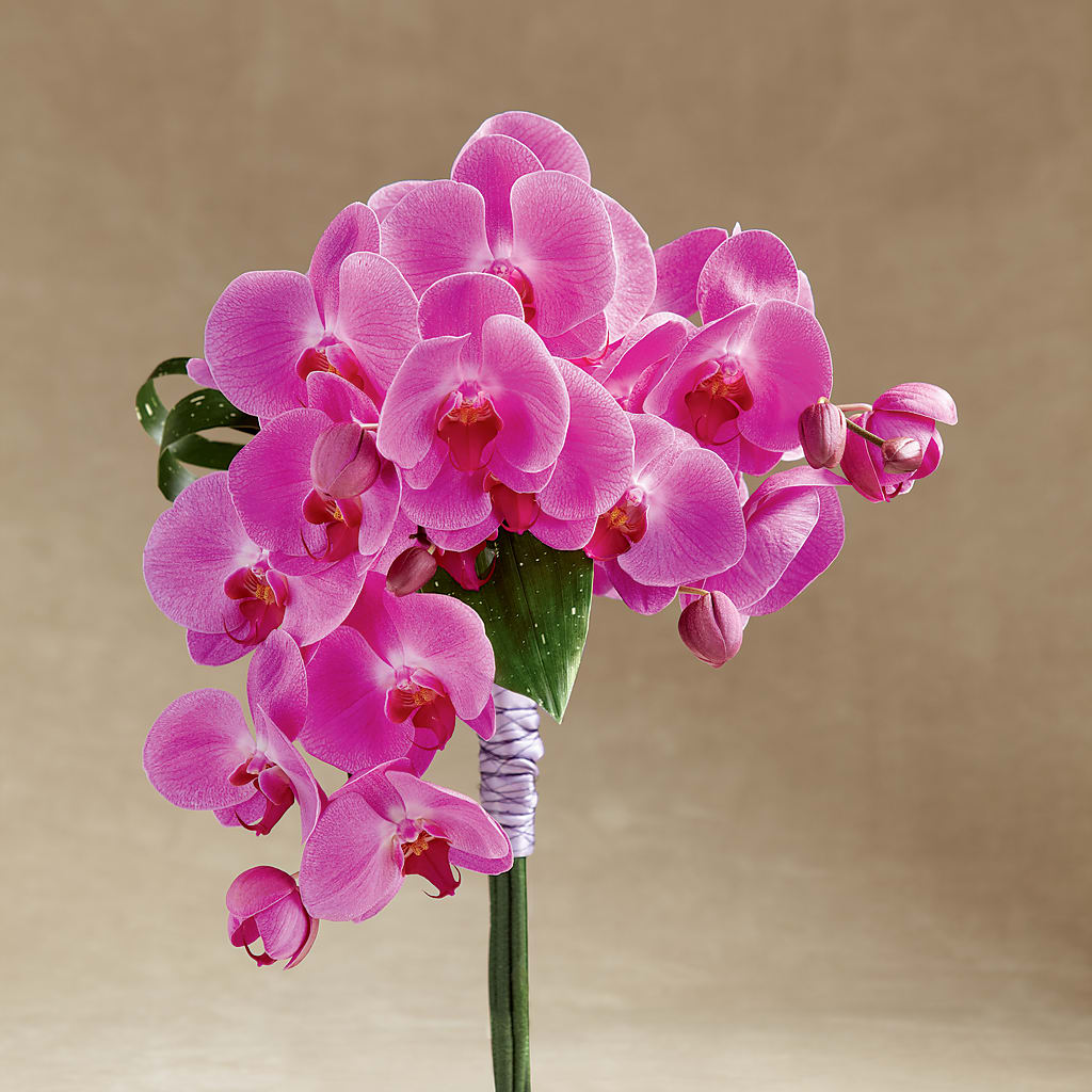 Glorious Bouquet – FRIEND'S FLOWERS, Los Angeles CA