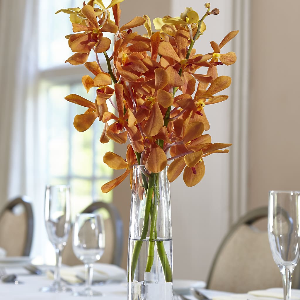Orange Mokara Bud Vase – FRIEND'S FLOWERS, Los Angeles CA