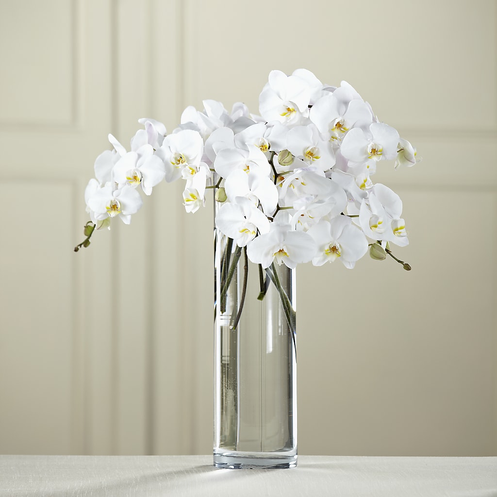 White Phalaenopsis Bouquet – FRIEND'S FLOWERS, Los Angeles CA