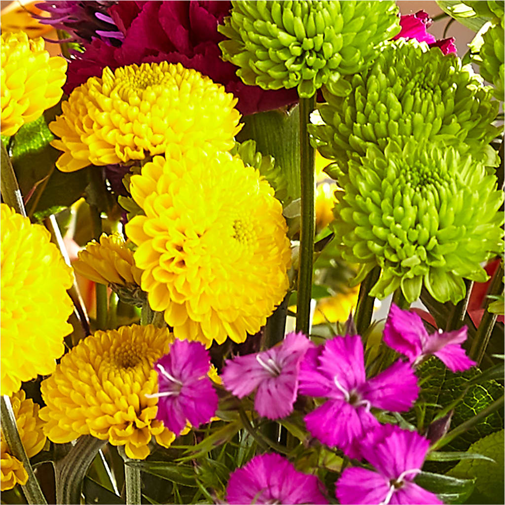 Bold & Bright – A Florist Original – FRIEND'S FLOWERS, Los Angeles CA
