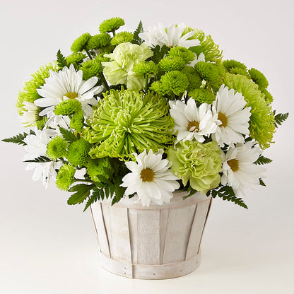 Lucky Charm Basket (Standard) – FRIEND'S FLOWERS, Los Angeles CA