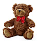 Adorable Plush Bear – FRIEND'S FLOWERS, Los Angeles CA
