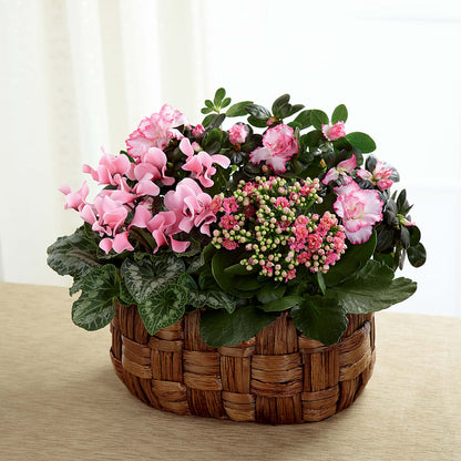 Pink Assortment – FRIEND'S FLOWERS, Los Angeles CA