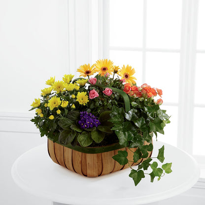 Gentle Blossoms Basket – FRIEND'S FLOWERS, Los Angeles CA