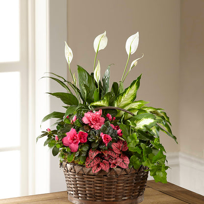 Dream in Pink Dishgarden – FRIEND'S FLOWERS, Los Angeles CA