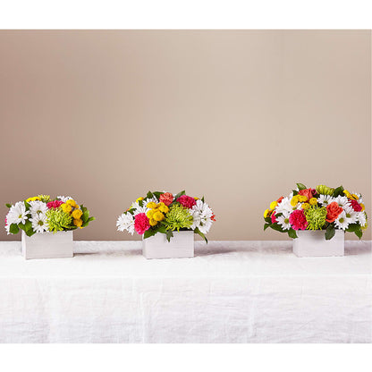 Sorbet Bouquet – FRIEND'S FLOWERS, Los Angeles CA
