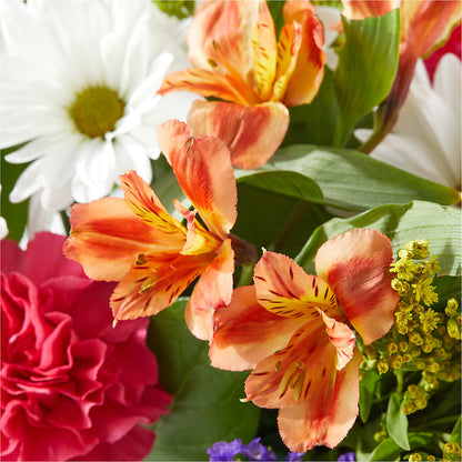Oopsie Daisy Box Bouquet – FRIEND'S FLOWERS, Los Angeles CA