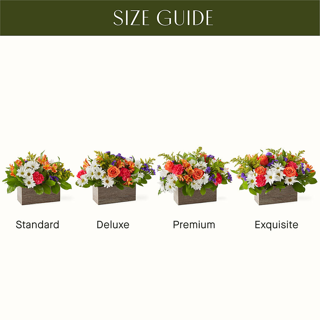 Oopsie Daisy Box Bouquet – FRIEND'S FLOWERS, Los Angeles CA