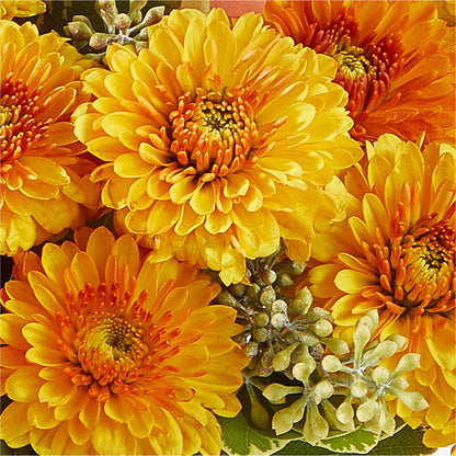 Peachy Pumpkin – FRIEND'S FLOWERS, Los Angeles CA