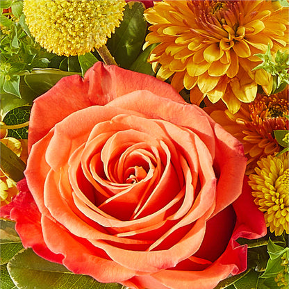 Gourdgeous Pumpkin – FRIEND'S FLOWERS, Los Angeles CA