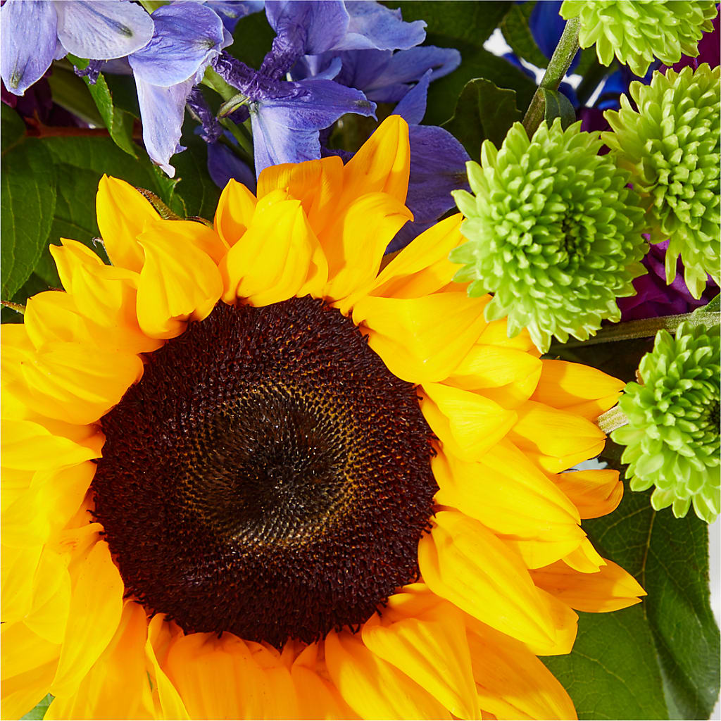 Catching Rays Bouquet – FRIEND'S FLOWERS, Los Angeles CA