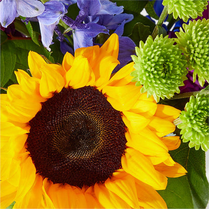 Catching Rays Bouquet – FRIEND'S FLOWERS, Los Angeles CA