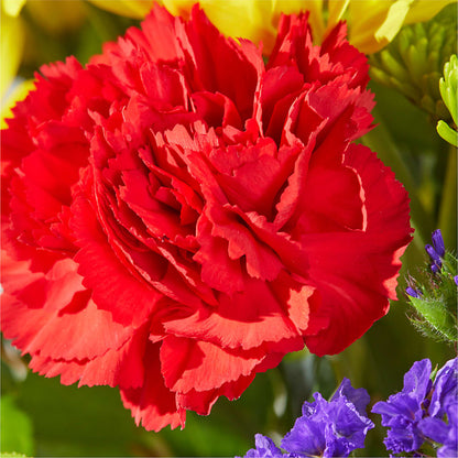Brighter Days Bouquet – FRIEND'S FLOWERS, Los Angeles CA
