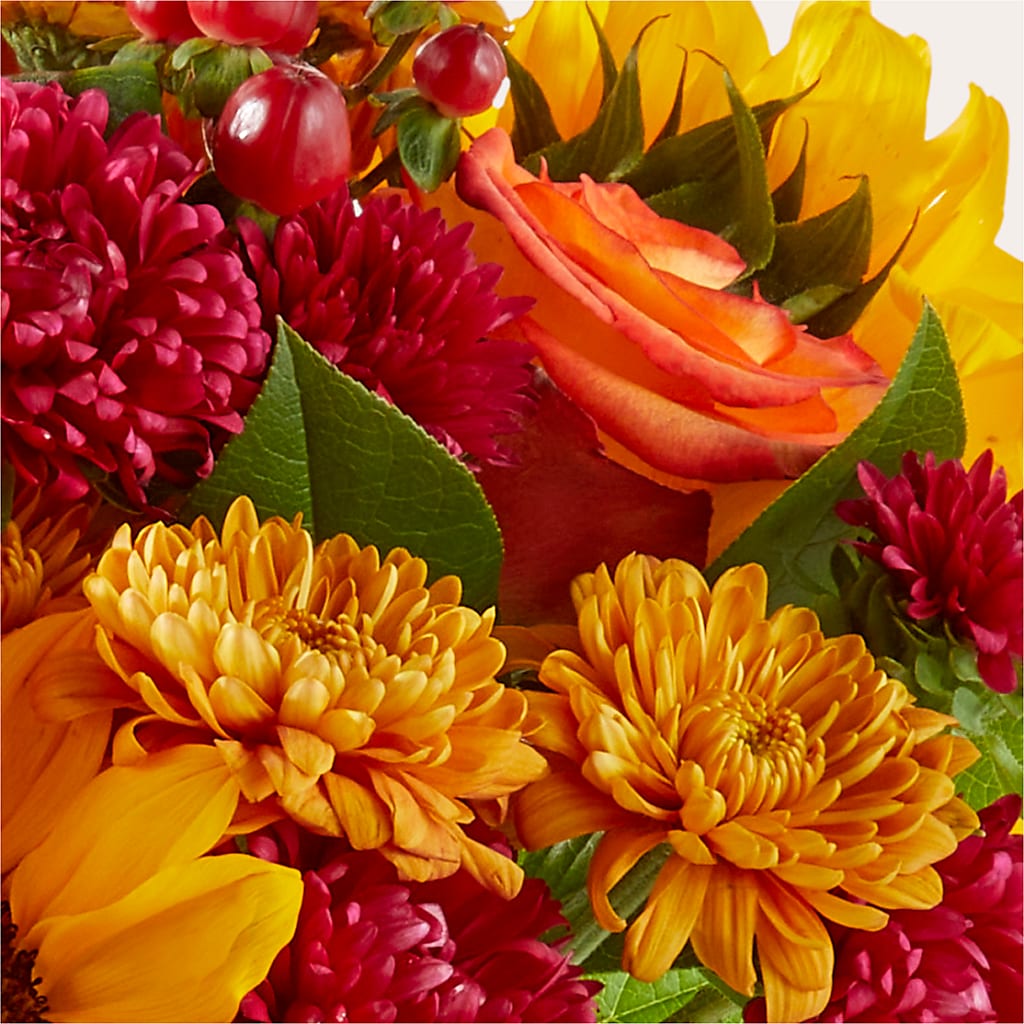 Sweater Season - A Florist Original – FRIEND'S FLOWERS, Los Angeles CA