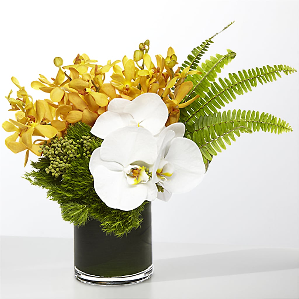 The Tropics – FRIEND'S FLOWERS, Los Angeles CA