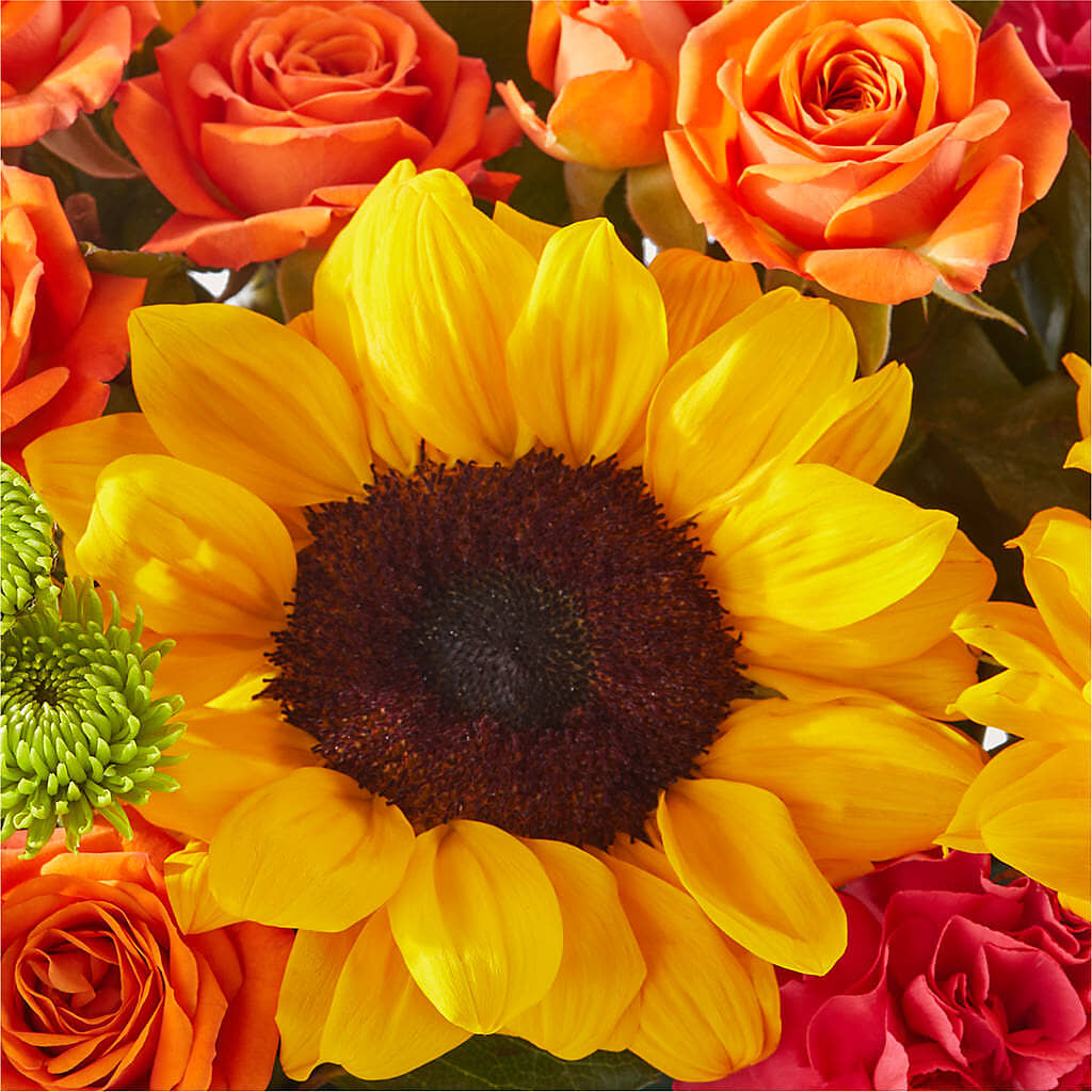 Sun-drenched Blooms Box Bouquet – FRIEND'S FLOWERS, Los Angeles CA