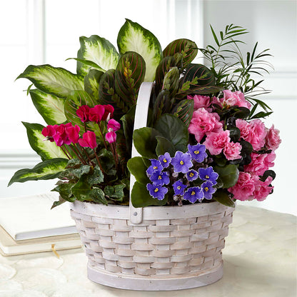 Peaceful Garden Planter – FRIEND'S FLOWERS, Los Angeles CA