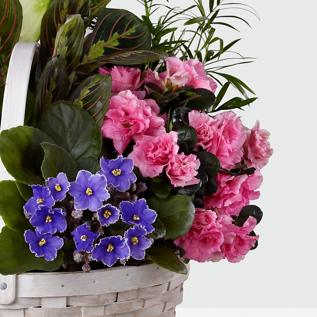 Peaceful Garden Planter – FRIEND'S FLOWERS, Los Angeles CA