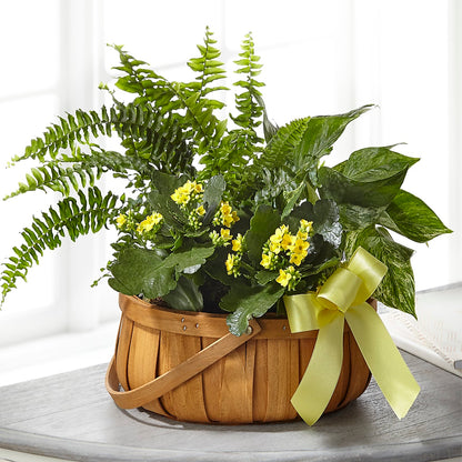 Always Dear Dishgarden – FRIEND'S FLOWERS, Los Angeles CA