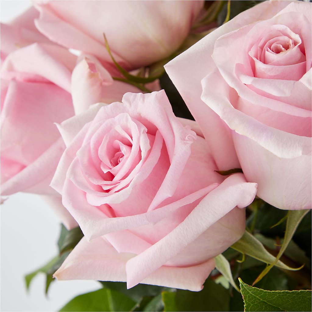 Picture Perfect Pink Rose Bouquet – FRIEND'S FLOWERS, Los Angeles CA