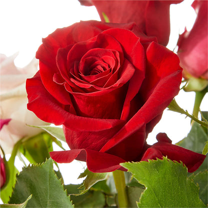 Love Notes Rose Bouquet – FRIEND'S FLOWERS, Los Angeles CA