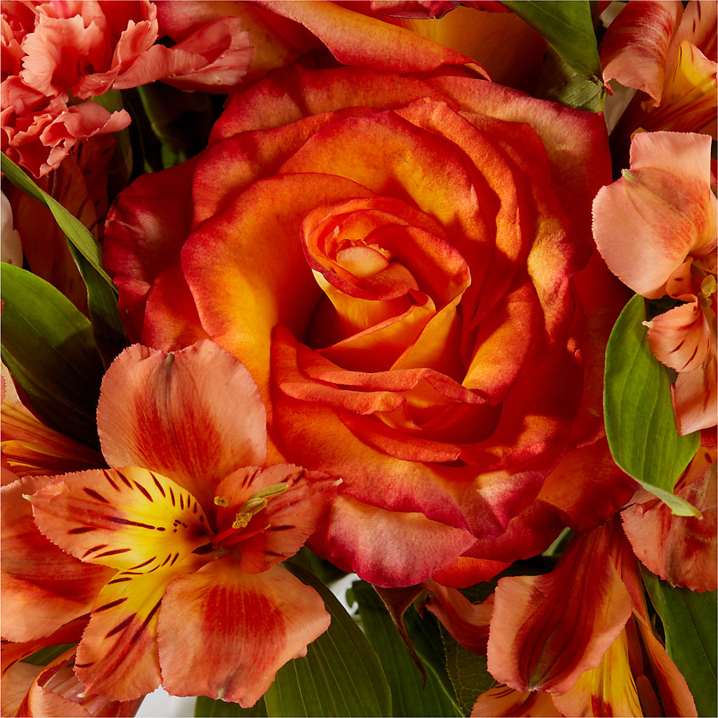 Apricot Glow Bouquet – FRIEND'S FLOWERS, Los Angeles CA