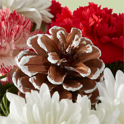 Candy Cane Lane Bouquet – FRIEND'S FLOWERS, Los Angeles CA