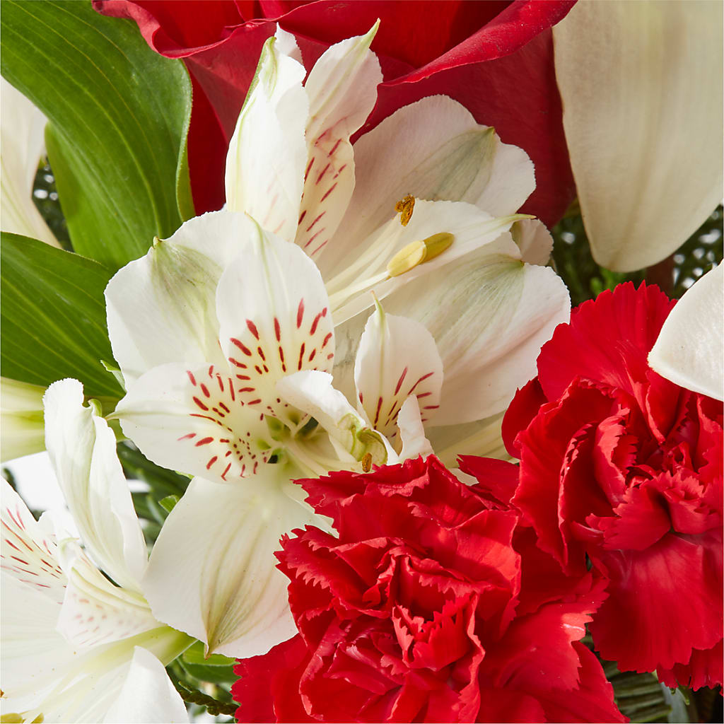 Holiday Season Bouquet – FRIEND'S FLOWERS, Los Angeles CA