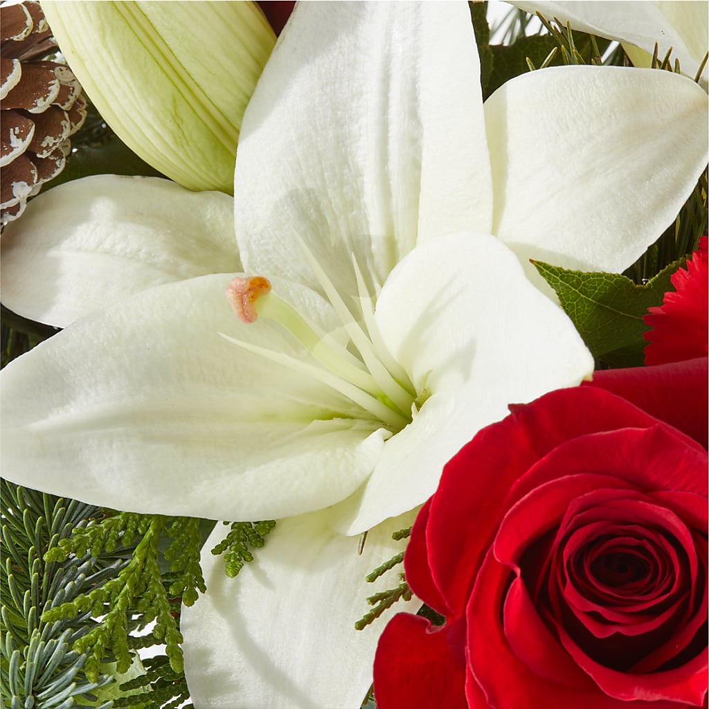Oh So Jolly Bouquet – FRIEND'S FLOWERS, Los Angeles CA