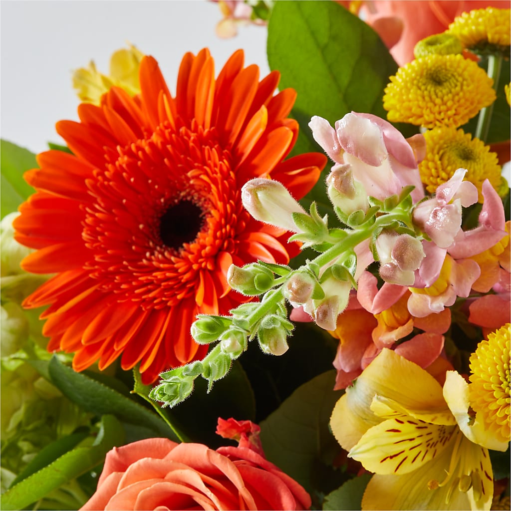 Autumn Sunshine Bouquet – FRIEND'S FLOWERS, Los Angeles CA