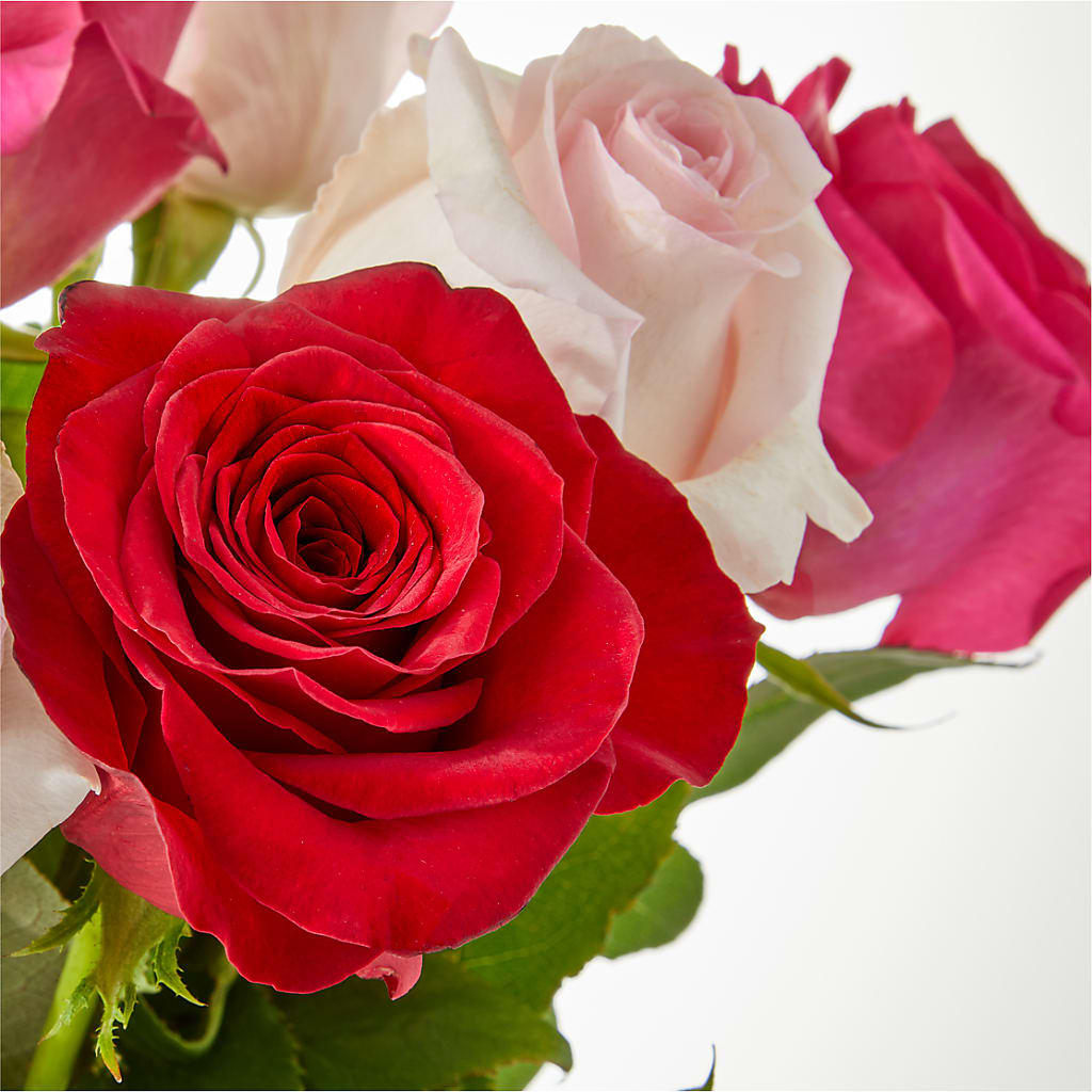Charming Rose Bouquet – FRIEND'S FLOWERS, Los Angeles CA