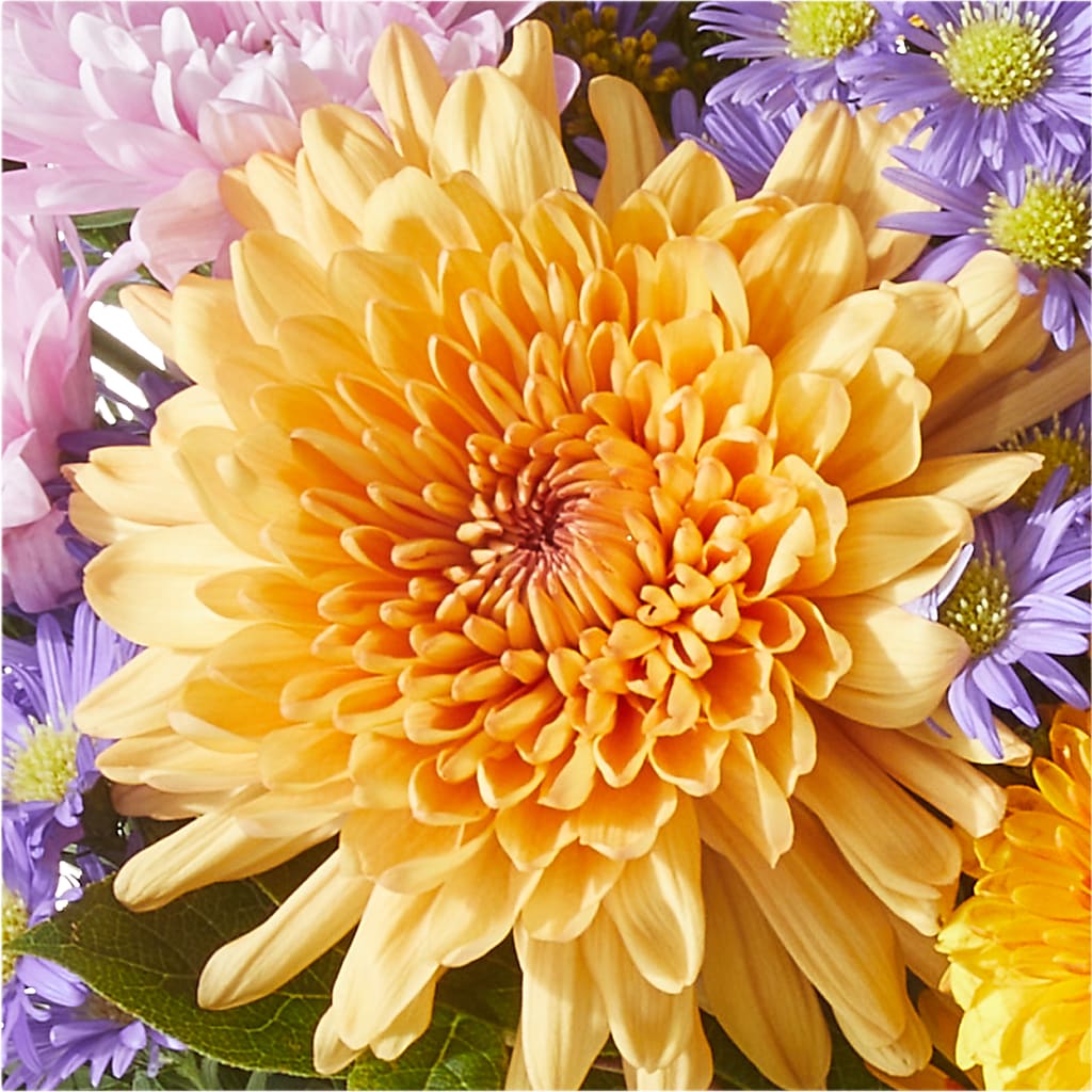 Countryside Bouquet – FRIEND'S FLOWERS, Los Angeles CA