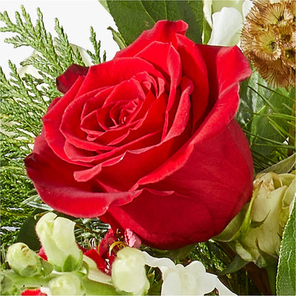Deck the Halls Bouquet – FRIEND'S FLOWERS, Los Angeles CA