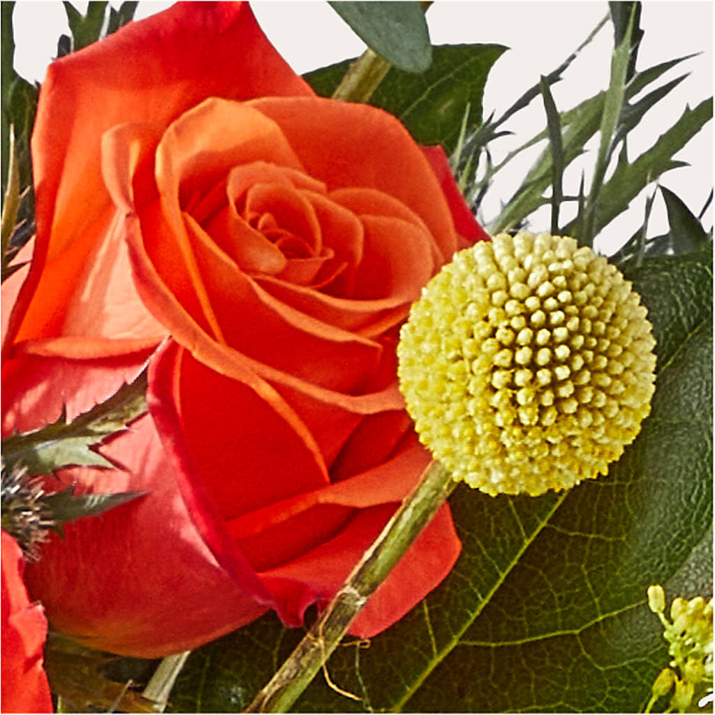 Disco Bouquet – FRIEND'S FLOWERS, Los Angeles CA