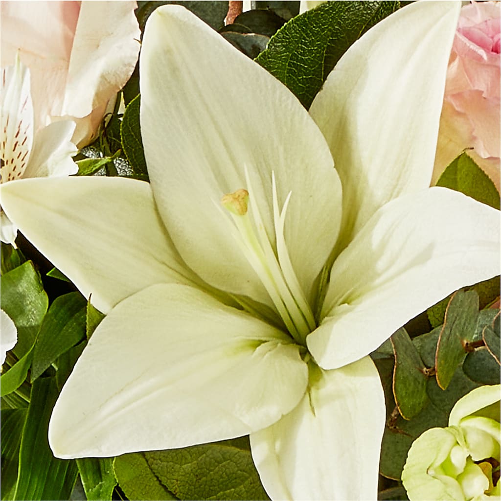 Ballet Slippers Bouquet – FRIEND'S FLOWERS, Los Angeles CA
