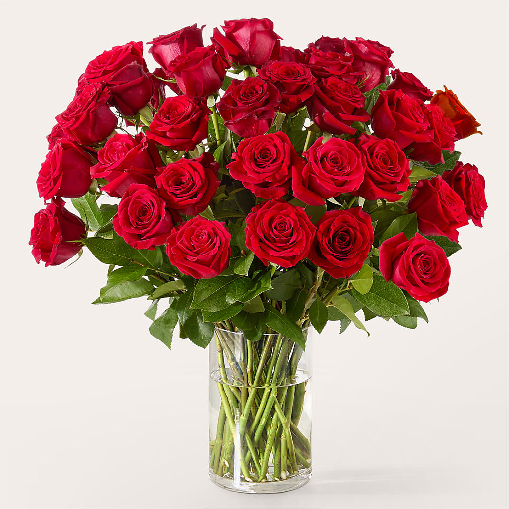 The One Red Rose Bouquet – FRIEND'S FLOWERS, Los Angeles CA