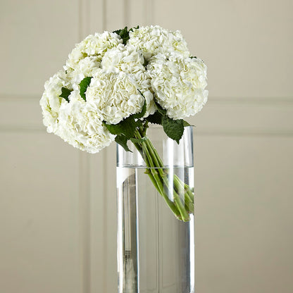 White Hydrangea Hand-Tied Bouquet – FRIEND'S FLOWERS, Los Angeles CA