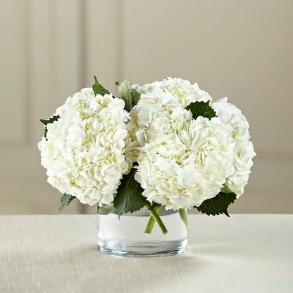 White Hydrangea Bouquet – FRIEND'S FLOWERS, Los Angeles CA