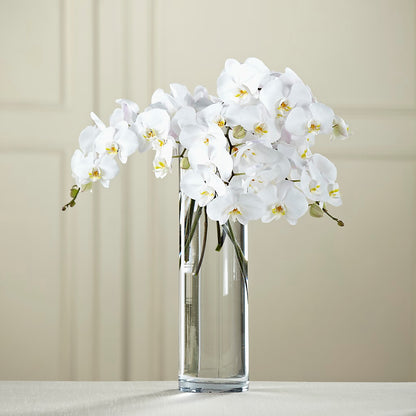 White Phalaenopsis Bouquet – FRIEND'S FLOWERS, Los Angeles CA